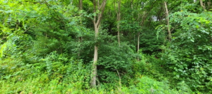 목록 2 토지 전경(2)