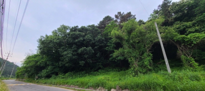 목록 2 토지 전경(3)