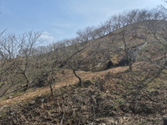 목록1~2 전경 (4)