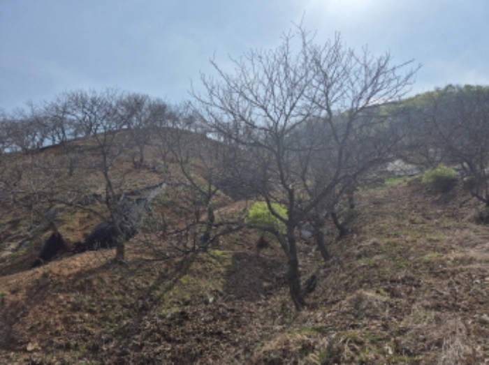 목록1~2 전경 (5)