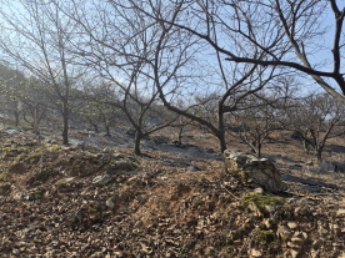 목록1~2 전경 (6)