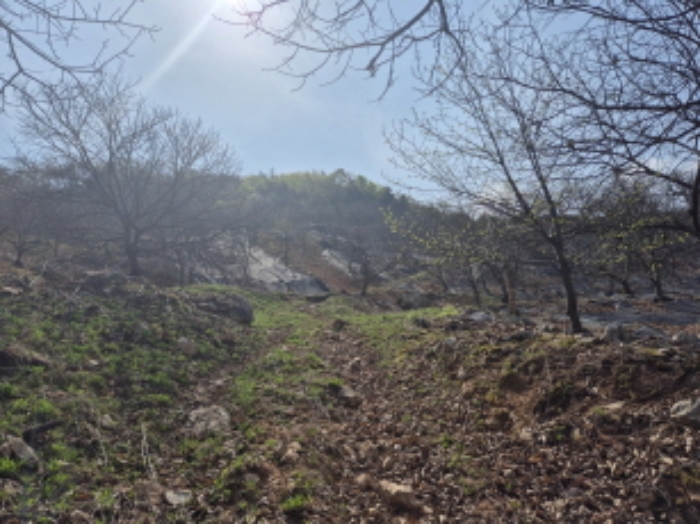 목록1~2 전경 (7)