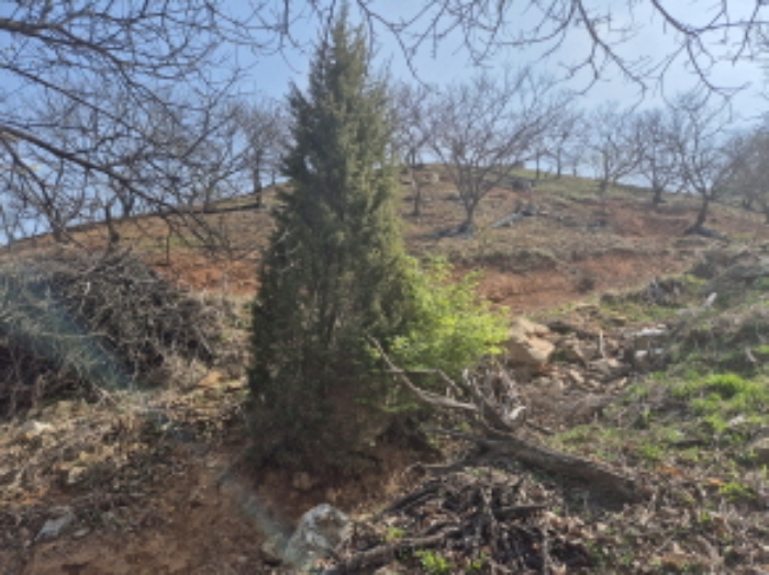 목록1~2 전경 (8)