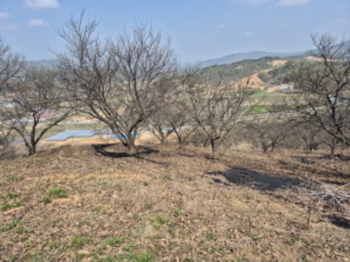 목록1~2 전경 (9)