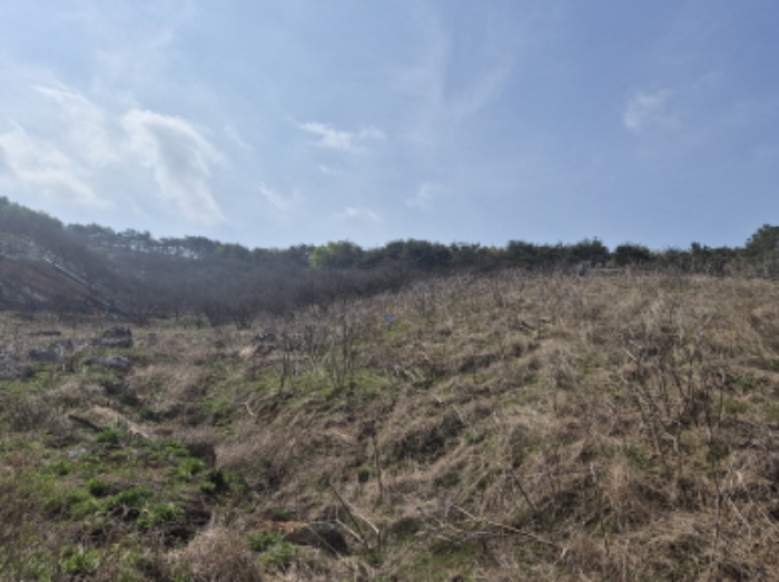 목록1~3 전경 (1)