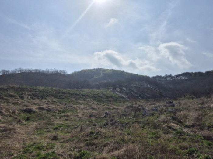 목록1~3 전경 (2)