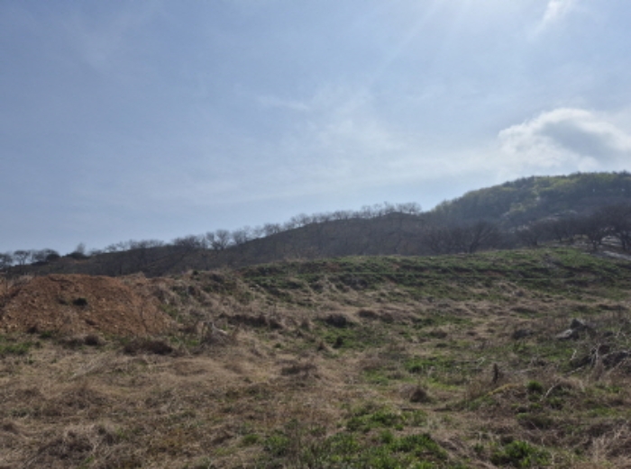 목록1~3 전경 (3)