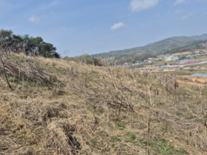 목록1~3 전경 (4)