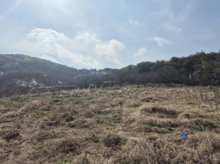 목록1~3 전경 (6)