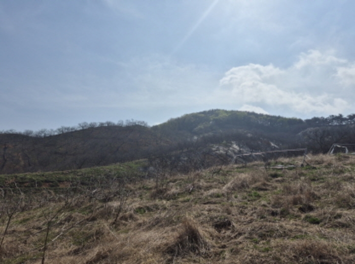 목록1~3 전경 (7)