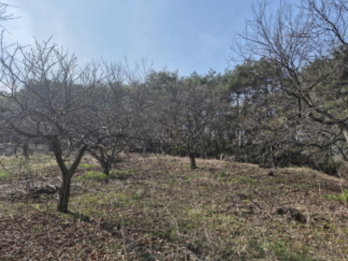 목록1~3 전경 (9)