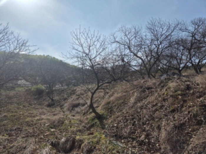 목록1~2 전경 (3)