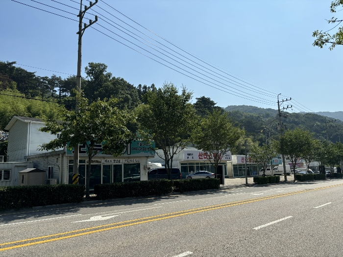 본건 및 주변 전경