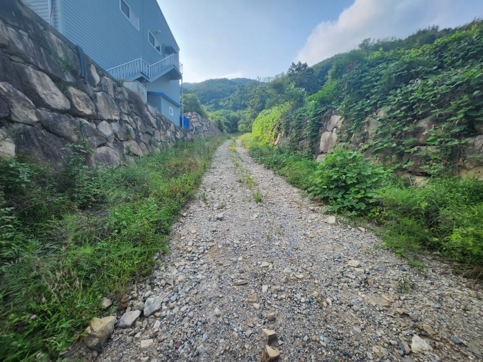 일련번호 5