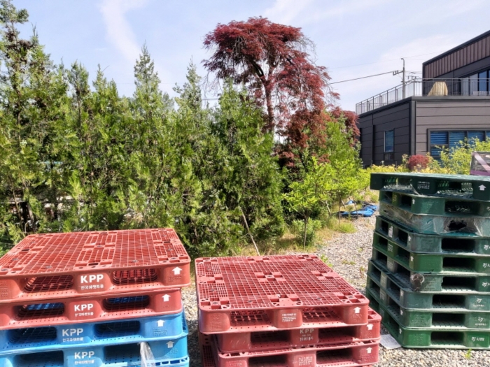 본건 전경(제시외 수목)