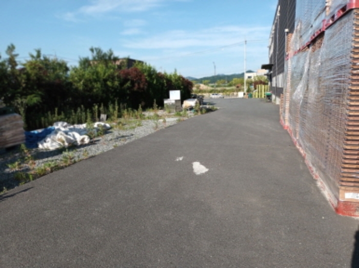 공장 주변 정원수 모습3