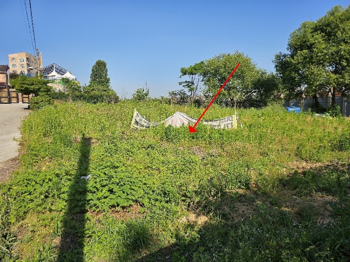 본건 (동측에서 촬영)