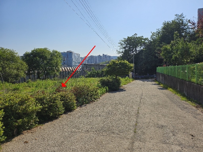 본건 주위환경 (서측에서 촬영)