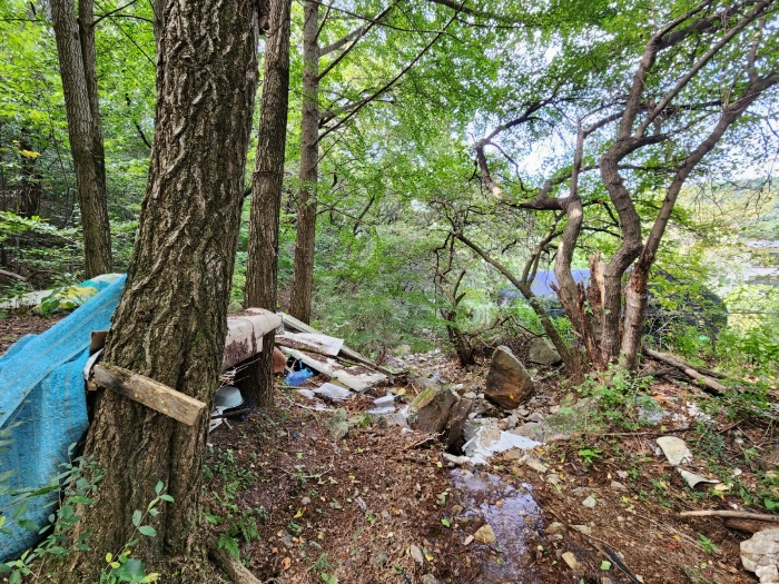 기호4 동측 소재 구거 상황