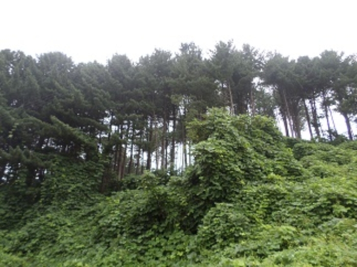 목록2 근접촬영