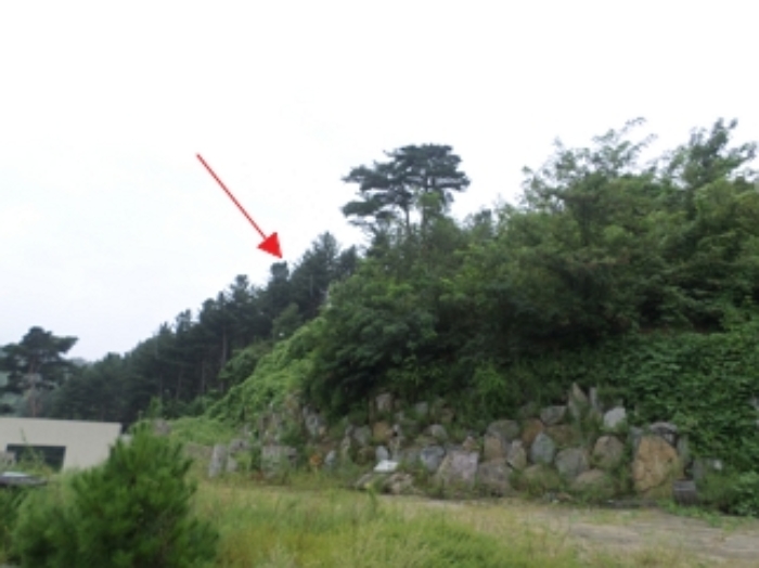 목록2 근접촬영