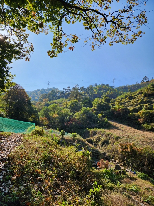 일련번호 (1) 토지 전경