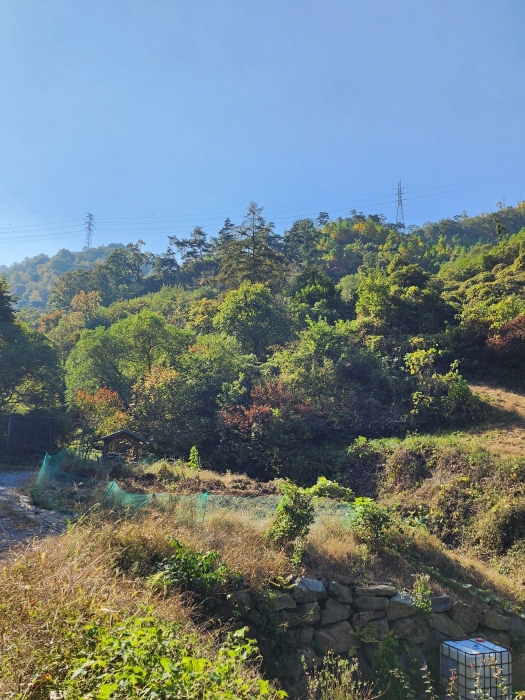 일련번호 (2) 토지 전경