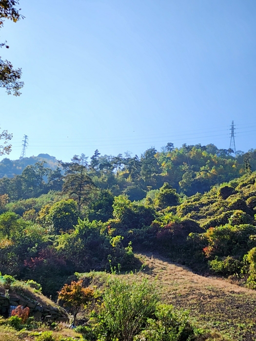 일련번호 (1) 토지 전경