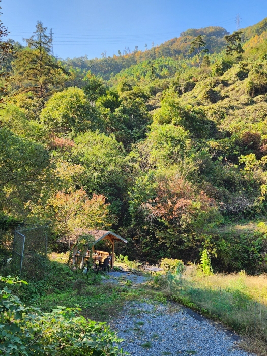 일련번호 (2) 토지 전경