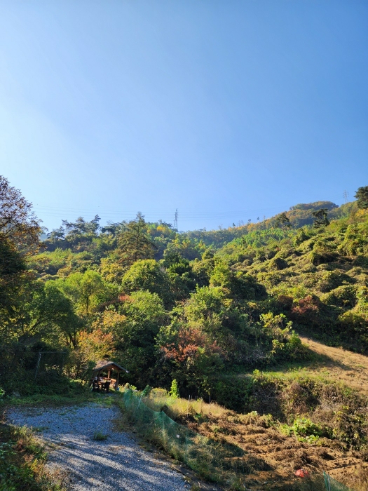 일련번호 (1) 토지 전경