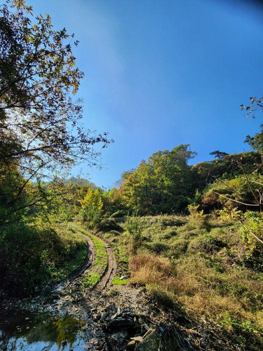 일련번호 (1) 토지 전경