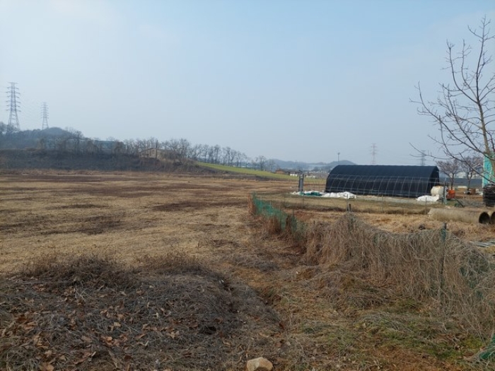 부동산 표시목록 1번 토지 전경