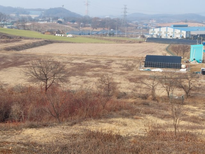 부동산 표시목록 1번 내지 3번 토지 전경