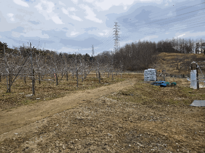 기호3 중 타인점유 추정 부위