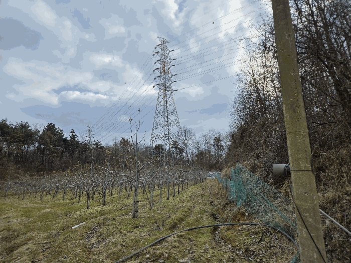 기호4 중 남동측 꼬리부위는