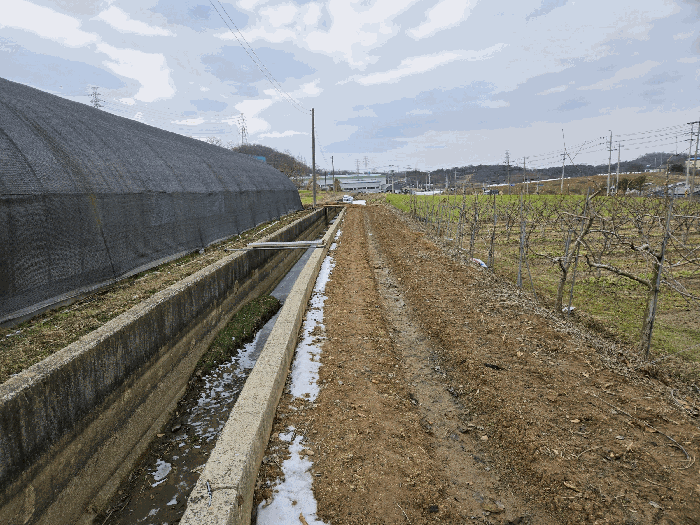기호1토지 -- 사진 우측 과수원( 타인소유 )내 일부 소면적( 묻혀 있음 )