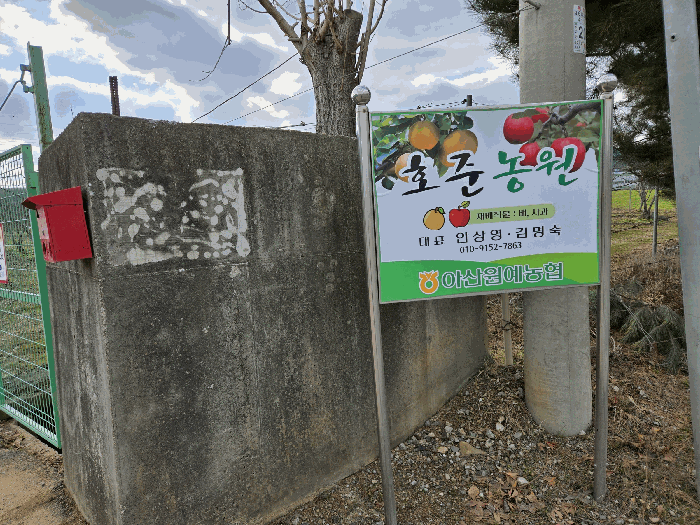 인접주택( 177-8 ) 및 농장 표시 -- 진입로 입구