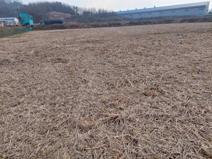 부동산 표시목록 2번 토지 전경