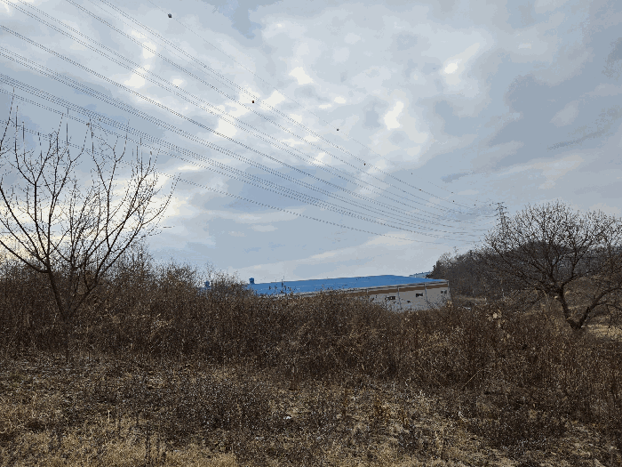 기호4 남측 부위 지상