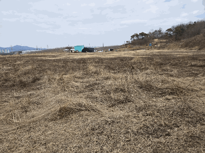 기호5 동측 옆에서 기호2를 향해 -- 멀리 제시외 ㉠ 등이 보임.