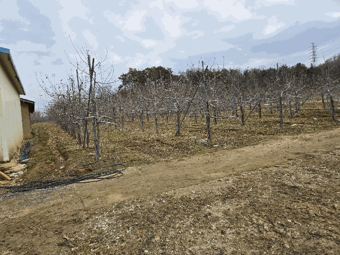 기호3 일부면적 경계침범 -- ㉡ 귀퉁이, ㉤ 도로 부지, ㉥ 과수목