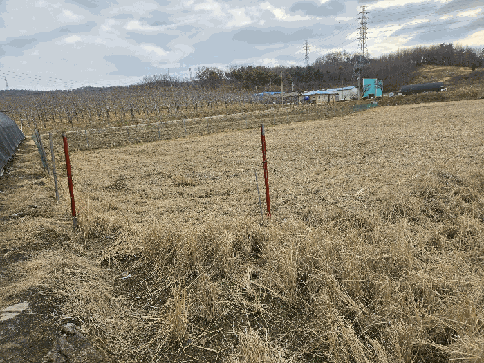 기호3 북측부위