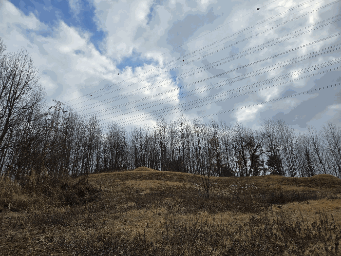 기호4 남측 부위 지상