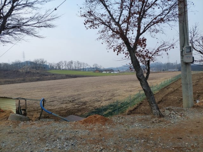 부동산 표시목록 2번 토지 전경