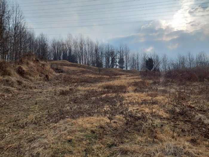 부동산 표시목록 4번 토지(임야) 전경