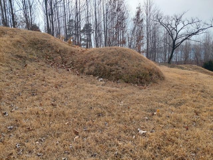 부동산 표시목록 4번 토지(임야) - 분묘 전경