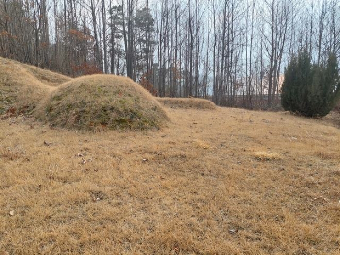 부동산 표시목록 4번 토지(임야) - 분묘 전경