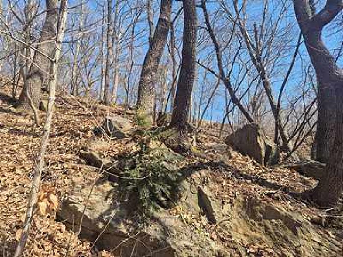 부동산표시목록 1번