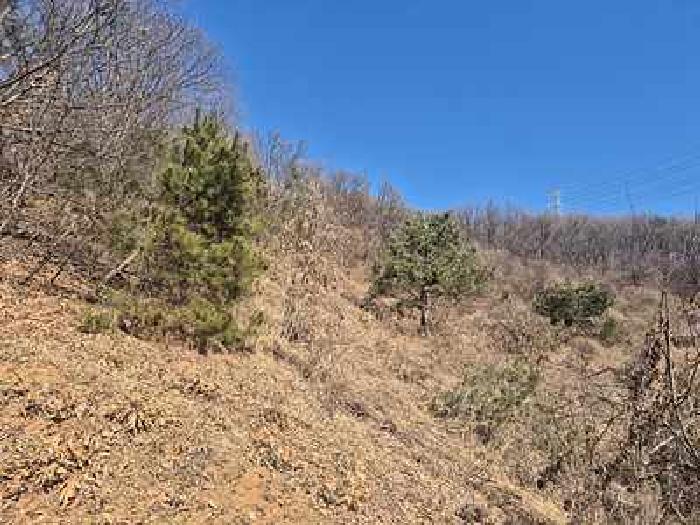 부동산표시목록 1번