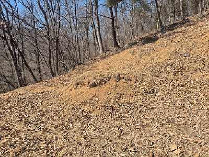 부동산표시목록 1번 : 분묘 1기가 있음